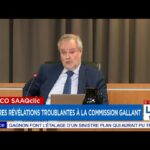 commission-gallant-en-direct-60.jpeg