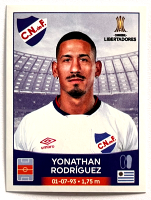 copa-libertadores-132.png