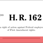 first-amendment-162.png