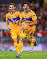 guadalajara-tigres-86.jpeg