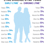 lyme-disease-31.gif