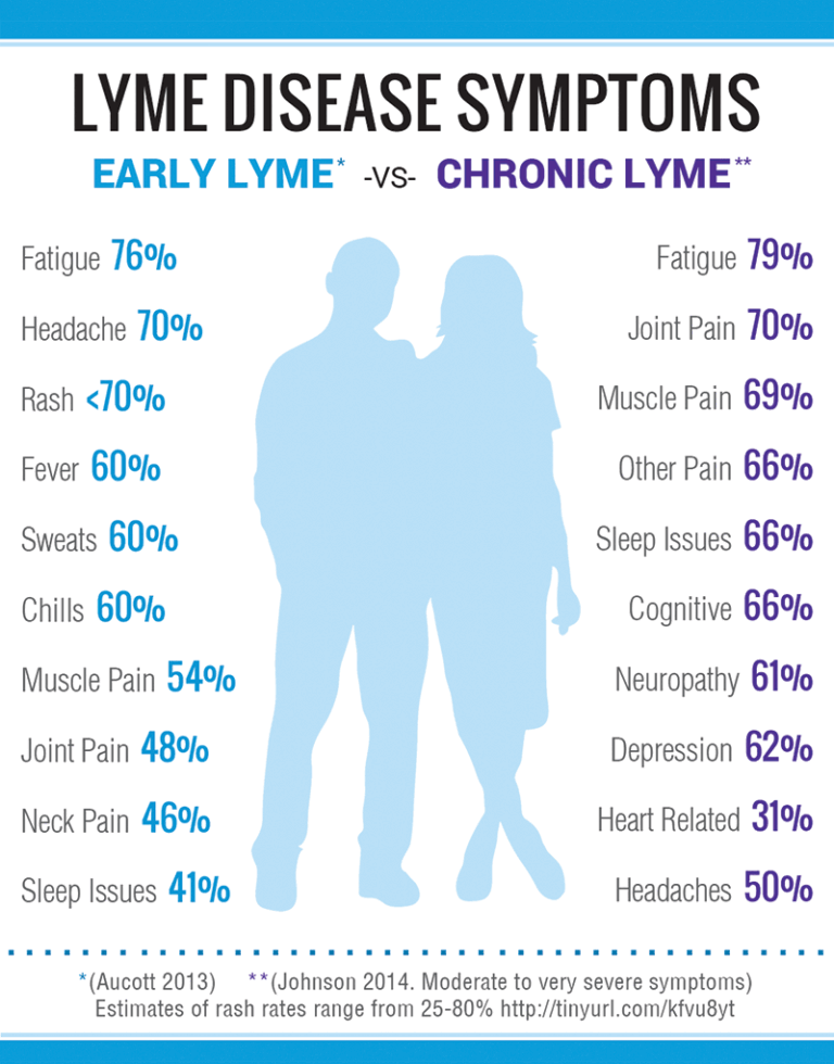 lyme-disease-31.gif