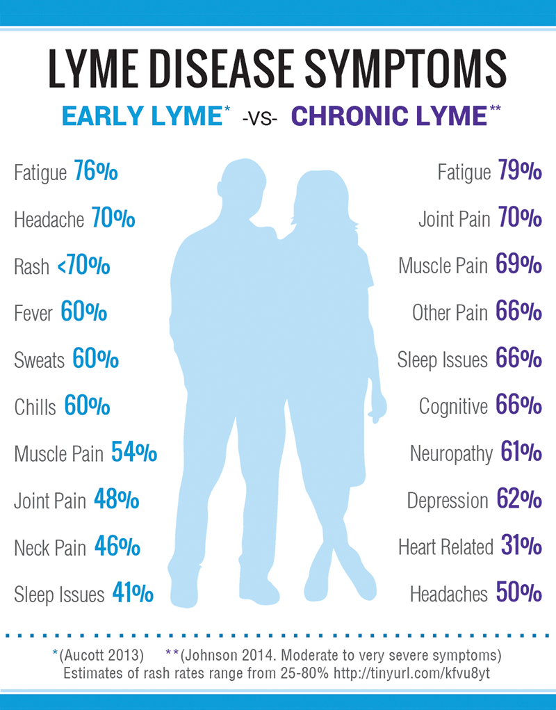 lyme-disease-31.gif