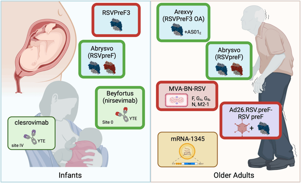 rsv-vaccine-195.png