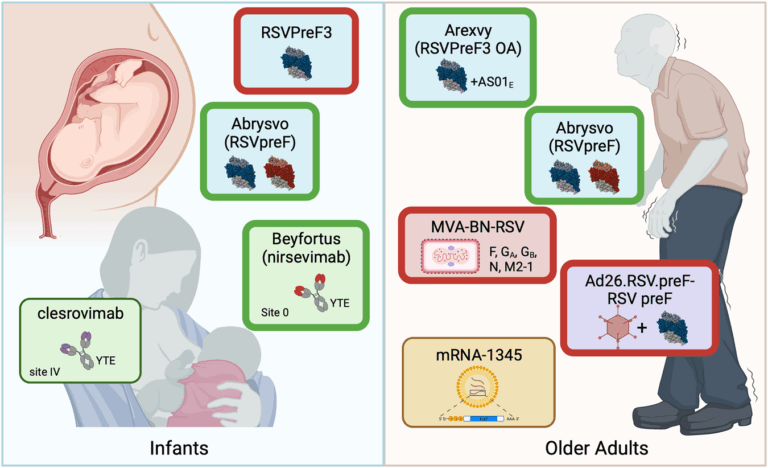 rsv-vaccine-195.png