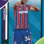 crystal-palace-112.jpeg