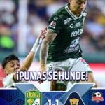 le-n-pumas-254.jpeg