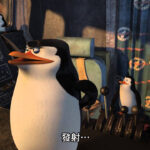 madagascar-178.jpeg