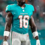 miami-dolphins-16.jpeg