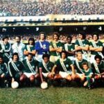 palmeiras-76.jpeg