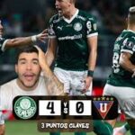 palmeiras-vs-ldu-quito-98.jpeg