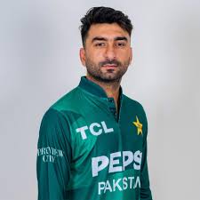 salman-mirza-14.jpeg