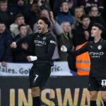swansea-vs-man-city-60.jpeg