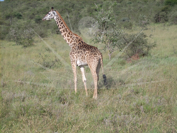 tanzania-144.jpeg