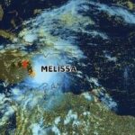 temp-te-tropicale-m-lissa-23.jpeg