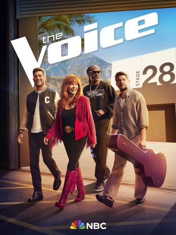 the-voice-128.jpeg