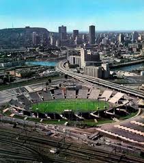 alouettes-de-montr-al-68.jpeg