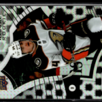 anaheim-ducks-142.png