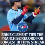 blue-jays-streaker-126.jpeg