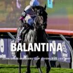 breeders-cup-2025-141.jpeg