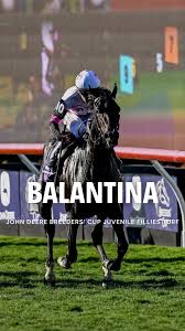 breeders-cup-2025-141.jpeg