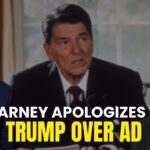 did-carney-apologize-to-trump-94.jpeg