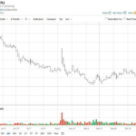 duolingo-stock-65.png