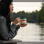 hudson-bay-stripes-canadian-tire-31.png