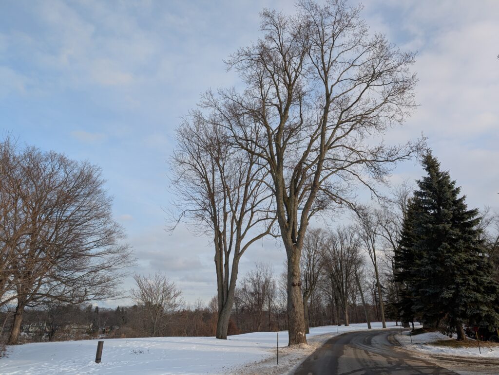 oakville-weather-155.jpeg