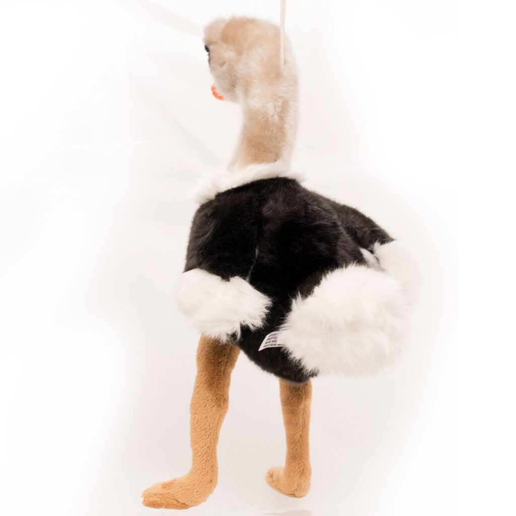 ostrich-44.jpeg