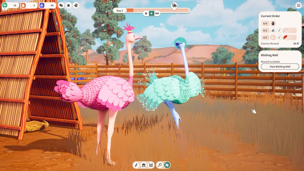 ostrich-farm-8.jpeg