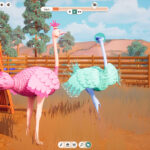ostrich-farm-8.jpeg