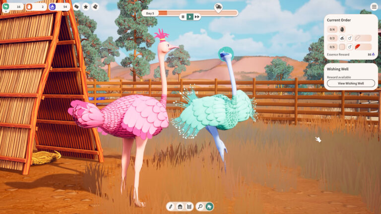 ostrich-farm-8.jpeg
