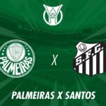 palmeiras-vs-santos-97.jpeg