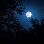 pleine-lune-super-lune-133.jpeg