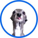 tika-the-iggy-127.jpeg