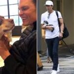 tom-brady-clone-dog-164.jpeg