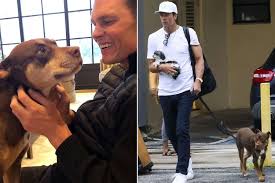 tom-brady-clone-dog-164.jpeg