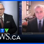 ctv-news-ottawa-229.jpeg