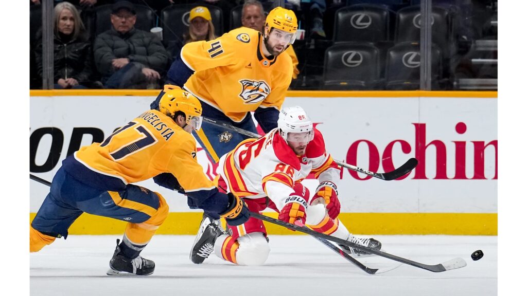 flames-vs-predators-99.jpeg