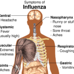 influenza-160.svg_.png