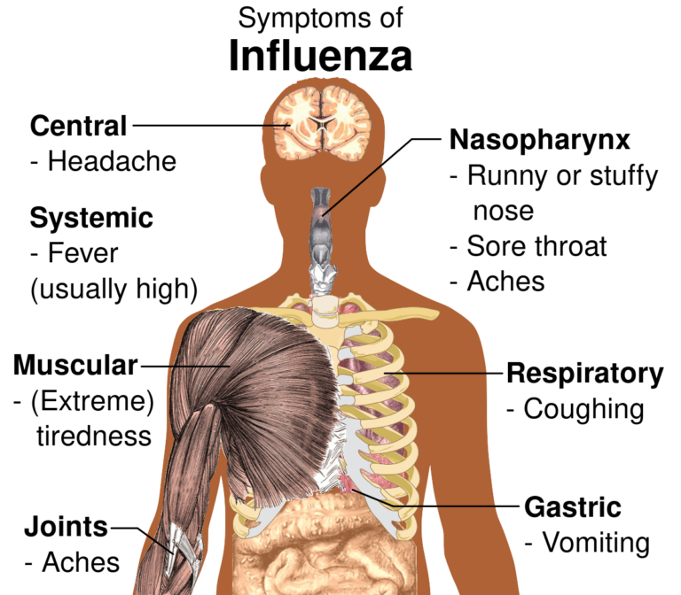 influenza-160.svg_.png