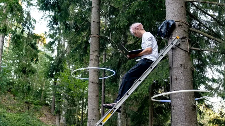 jonas-johansson-217.webp