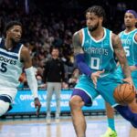 timberwolves-vs-hornets-133.jpeg