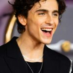 timothee-chalamet-12.jpeg