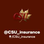 csu-stock-123.jpg