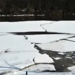 frost-quake-58.webp