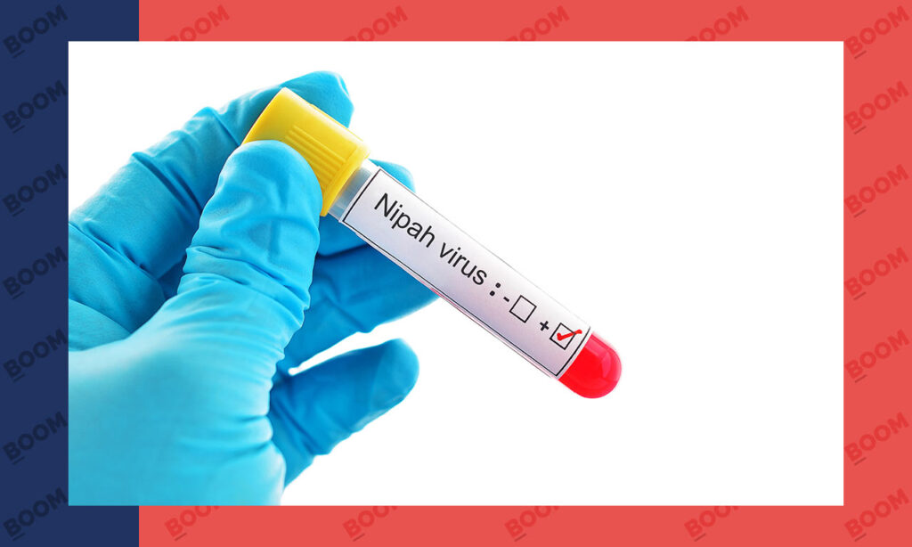 nipah-15.jpeg