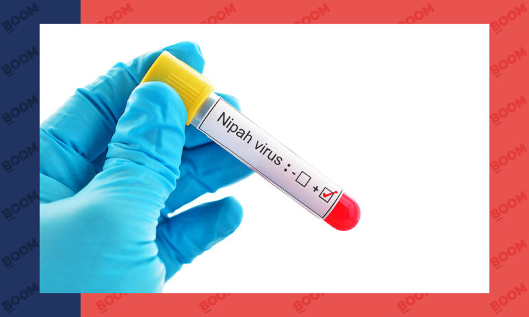 nipah-15.jpeg