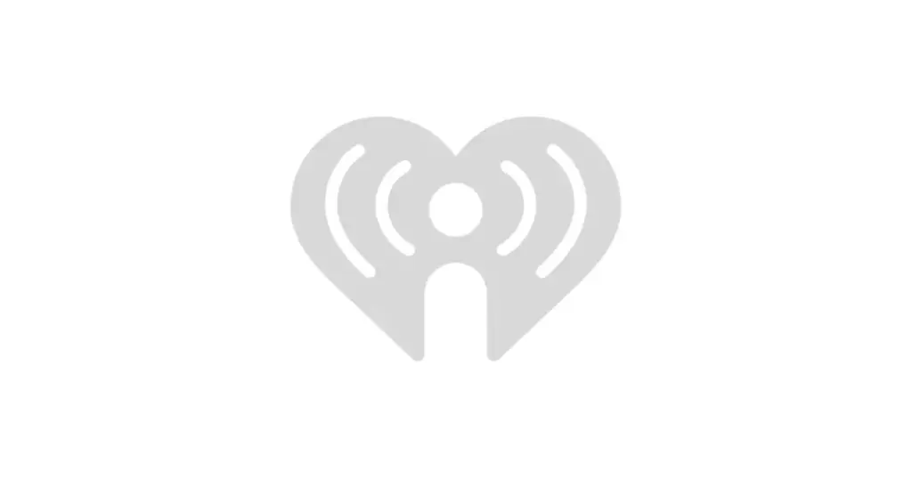 paddy-daly-71.webp